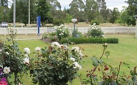 Culverden Court Motel